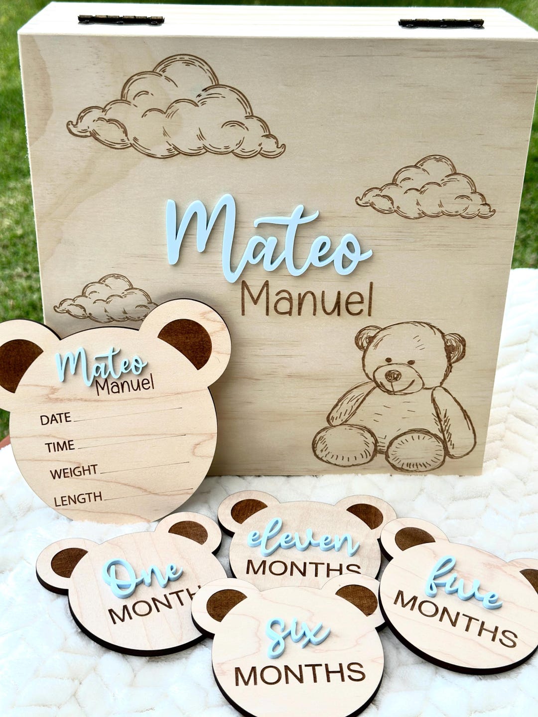 Teddy Bear Monthly Milestone, Baby Photo Signs, Baby Photo Prop ...