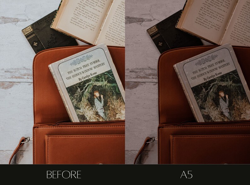 Pu&ograve; includere: Una borsa di pelle marrone con una tasca con cerniera. Un libro intitolato "The Witch Tree Symbol: The Hidden Window Mystery" di Carolya Kome &egrave; all'interno della borsa.