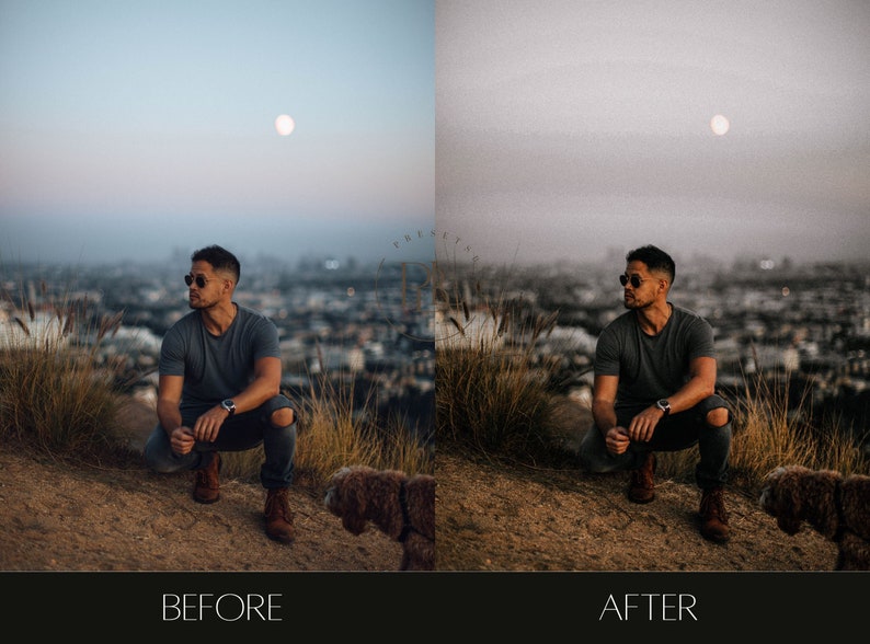 15 DISPOSABLE FILM PRESETS, Film Grain Lightroom Presets, Analog