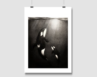 Orca print, killer whale print, nautical print