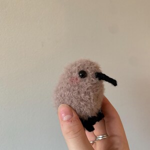 May include: A small, brown and black knitted kiwi bird toy. The toy has a fluffy texture and black eyes.