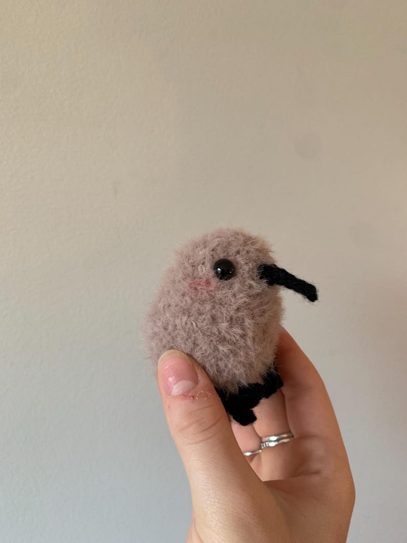 May include: A small, brown and black knitted kiwi bird toy. The toy has a fluffy texture and black eyes.