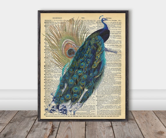 Vintage Peacock Dictionary Page Print, Peacock Feather Decor