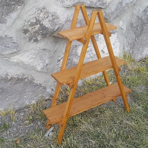 Rustykalna brązowa półka drabinkowa Cascade: Regał na książki w stylu wiejskim