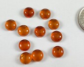 Baltic amber round cabochon, choose 6mm or 8mm