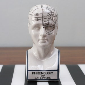 Porcelain Phrenology Head Medical Decor Small