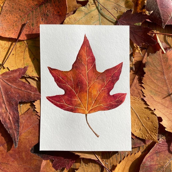 Watercolour Autumn Leaf Painting, Sweet Gum Tree Leaf Painting, Autumn Art, Fall Leaf Painting, Fall Leaf Art