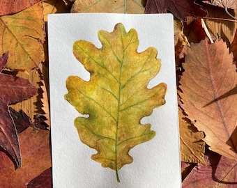 Watercolour Autumn Leaf Painting, Oak Leaf Painting, Autumn Art, Fall Leaf Painting, Fall Leaf Art, Oak Leaf Art