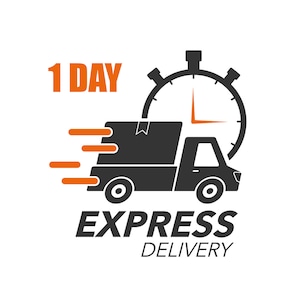 1 Day Vinyl VIP - Express Shipping: ADD ON