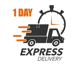 1 Day Vinyl VIP - Express Shipping: ADD ON