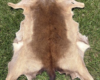 Australian Natural Fallow Rug