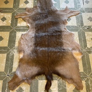 Peau naturelle de daim australien