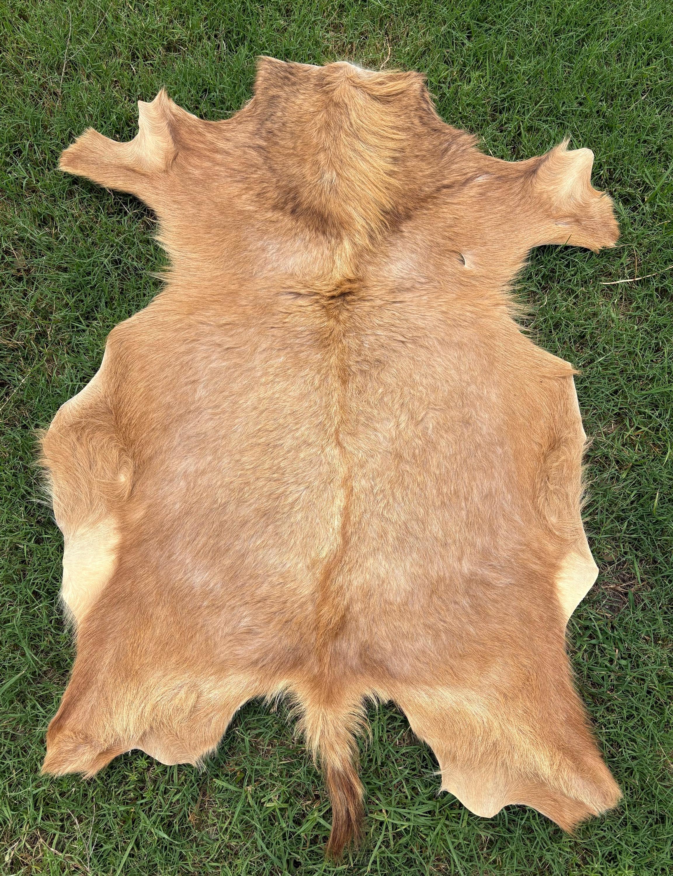 天然山羊毛皮 ヤギ皮 カーペット マット 本革 96*66cm 71yFNsHKy0L