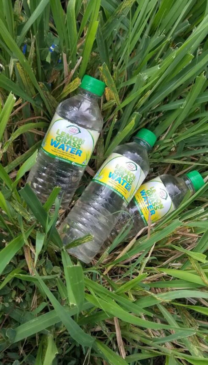 Lemongrass Flavored Water Etsy