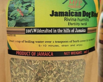 Jamaican Dog Blood ( fertility herb) ( Rivina humilis)