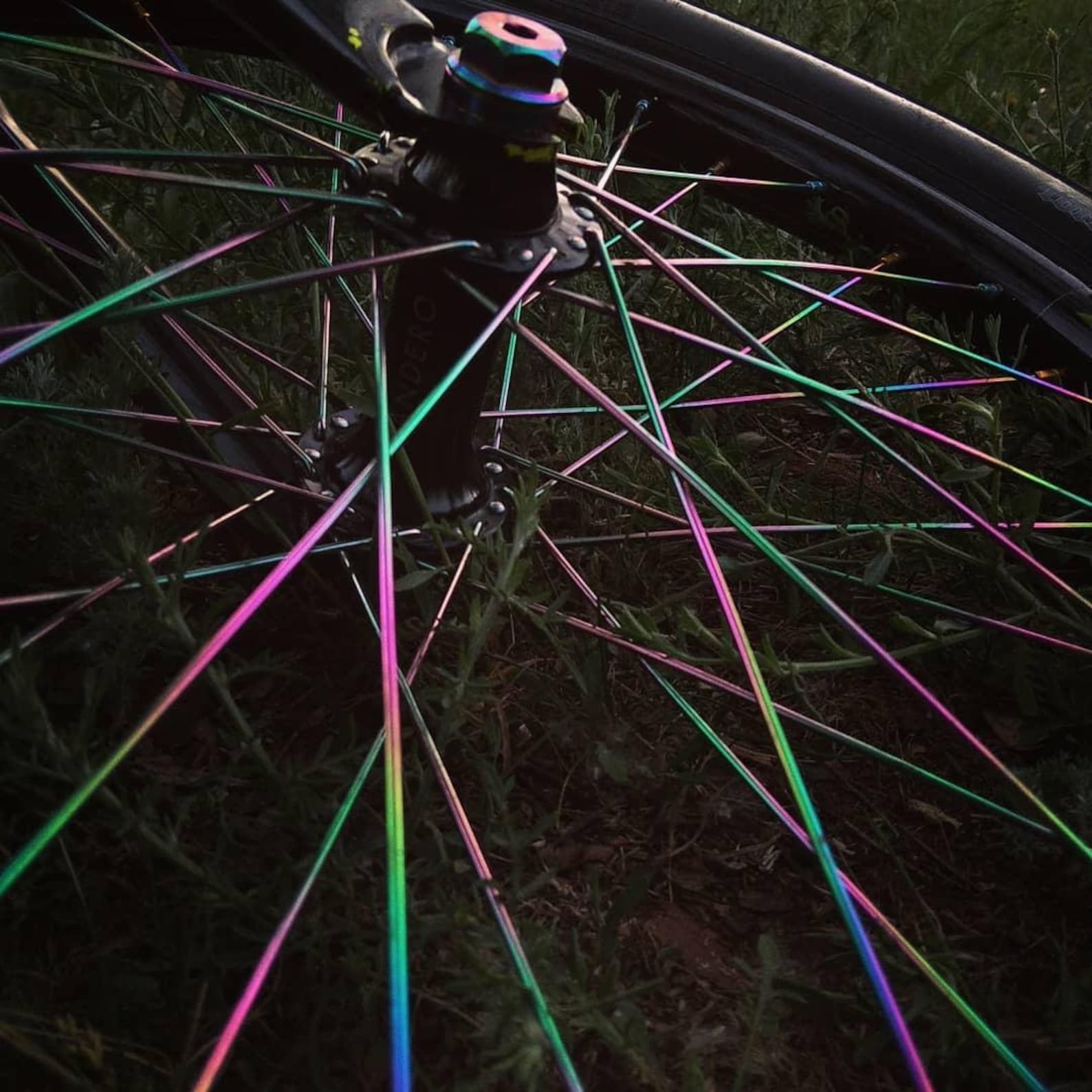 Oil Slick BMX spokes