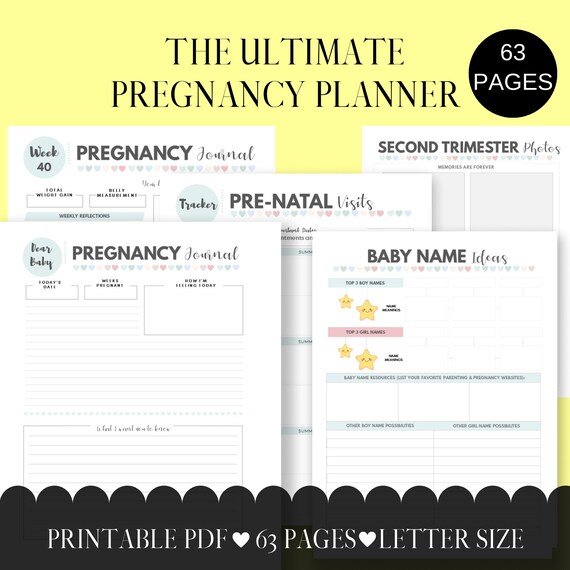 pregnancy planner pdf