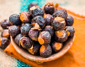 Sapindus mukorossi Chinese soapberry 10 - 20 seeds