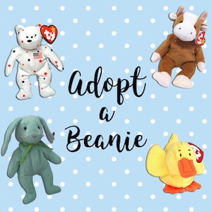 Adopt a Beanie Baby!