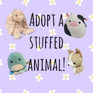 Adopt a Stuffed Animal