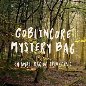Può includere: Immagine di una scena di foresta con il testo "Goblincore Mystery Bag" in un carattere stravagante. Sotto, il testo recita "(A small bag of trinkets)". Lo sfondo presenta alberi alti e la luce del sole che filtra attraverso le foglie.