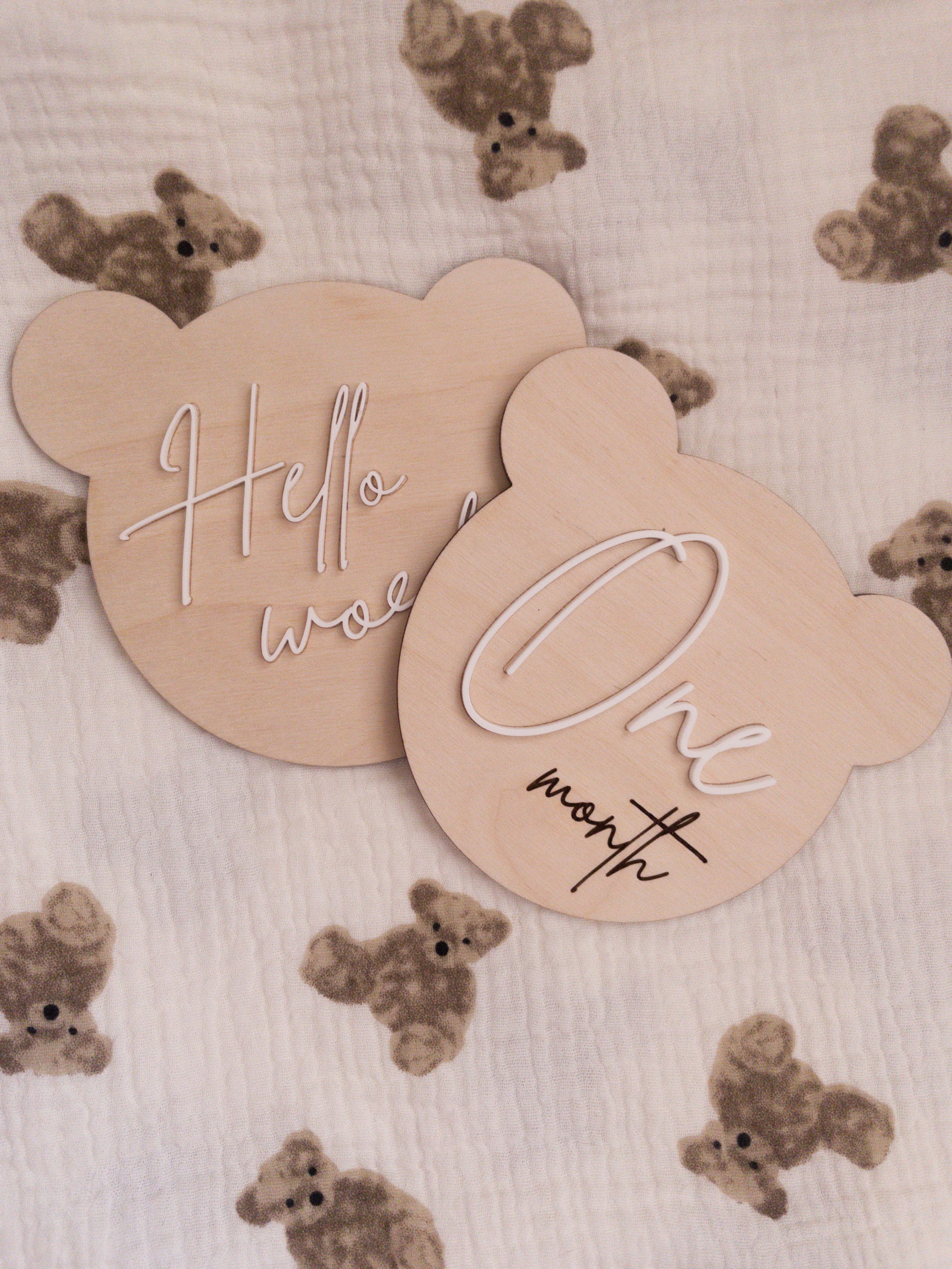 Teddy Bear Milestone Discs | Milestone Discs | Free Shipping | Baby ...