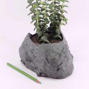 May include: A Crassula plant with green leaves in a grey rock-shaped planter. A green pencil rests on the white surface. The succulent has multiple stems with small, stacked leaves. The planter has a textured surface.