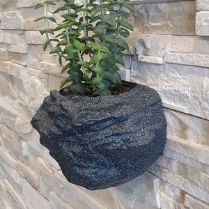 Op de afbeelding: Een vetplant met groene bladeren die groeit in een donkergrijze, rotsvormige pot. De pot is bevestigd aan een witte bakstenen muur.