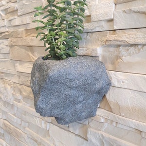 Può includere: Un vaso di fiori a forma di pietra grigia con una pianta grassa che cresce al suo interno. Il vaso è montato su un muro di mattoni bianchi.