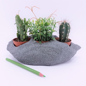 May include: A gray, textured planter with three small potted plants: two cacti and a green leafy plant. A green and pink pencil rests in front of the planter. The planter has a unique, organic shape.