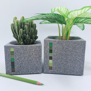 May include: Two square gray planters with green and brown mosaic accents. One planter holds a cactus, the other a plant with green and white striped leaves. A green pencil lies in front of the planters.