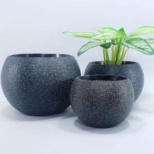 Könnte beinhalten: Drei dunkelgraue, strukturierte, kugelförmige Pflanzgefäße in verschiedenen Größen. Das größte Pflanzgefäß ist leer, das mittlere enthält eine Pflanze mit grün-weißen Blättern, und das kleinste ist leer. Die Pflanzgefäße haben einen dunklen Innenraum.