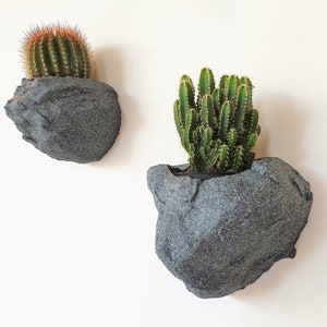 Op de afbeelding: Twee grijze, rotsvormige potten met verschillende cactussen. De pot links heeft een ronde cactus met groene en bruine stekels. De pot rechts heeft een hoge cactus met groene stengels.