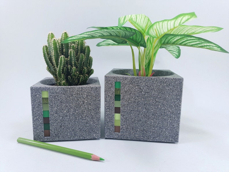 unique cactus planters