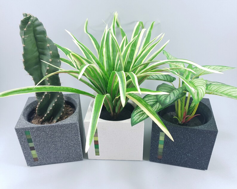 unique cactus planters