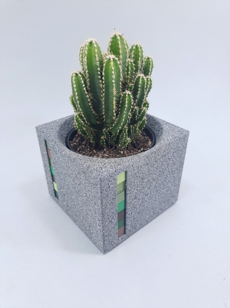 unique cactus planters