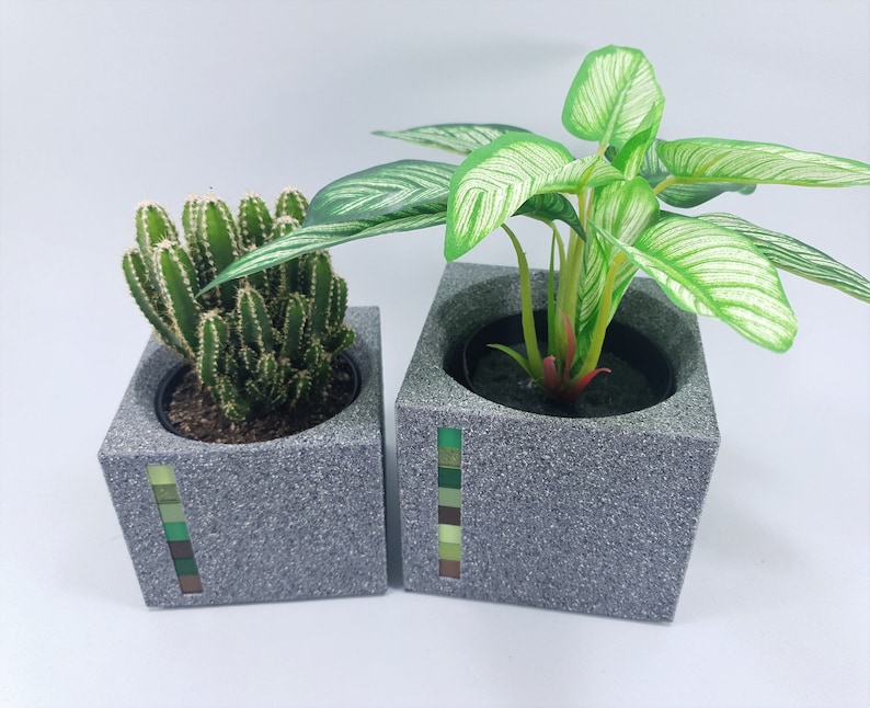 unique cactus planters