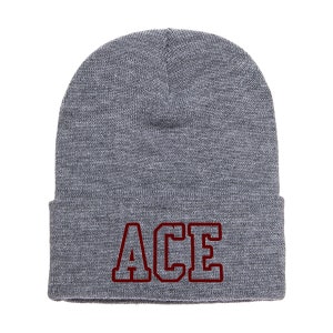 May include: Gray knit beanie with a red embroidered word "ACE" on the front.