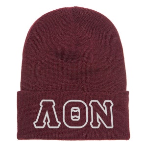 May include: A maroon knit beanie with a white embroidered Greek letter design that reads "AΦN".