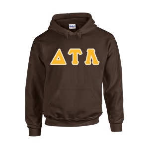 May include: A brown hooded sweatshirt with the Greek letters Delta, Tau, and Alpha in a gold color with a white outline. The sweatshirt has a front pocket and a hood. The brand name is visible on the tag.