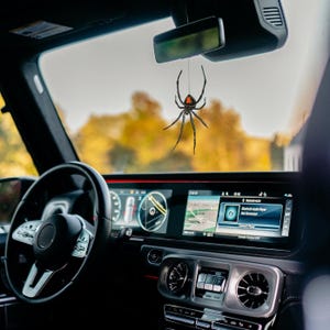 Op de afbeelding: Een zwarte en rode spinnen auto-hanger die aan de achteruitkijkspiegel van een auto hangt. De spin heeft een rode zandloper markering. Het interieur van de auto is zwart met een digitaal dashboard en stuur.
