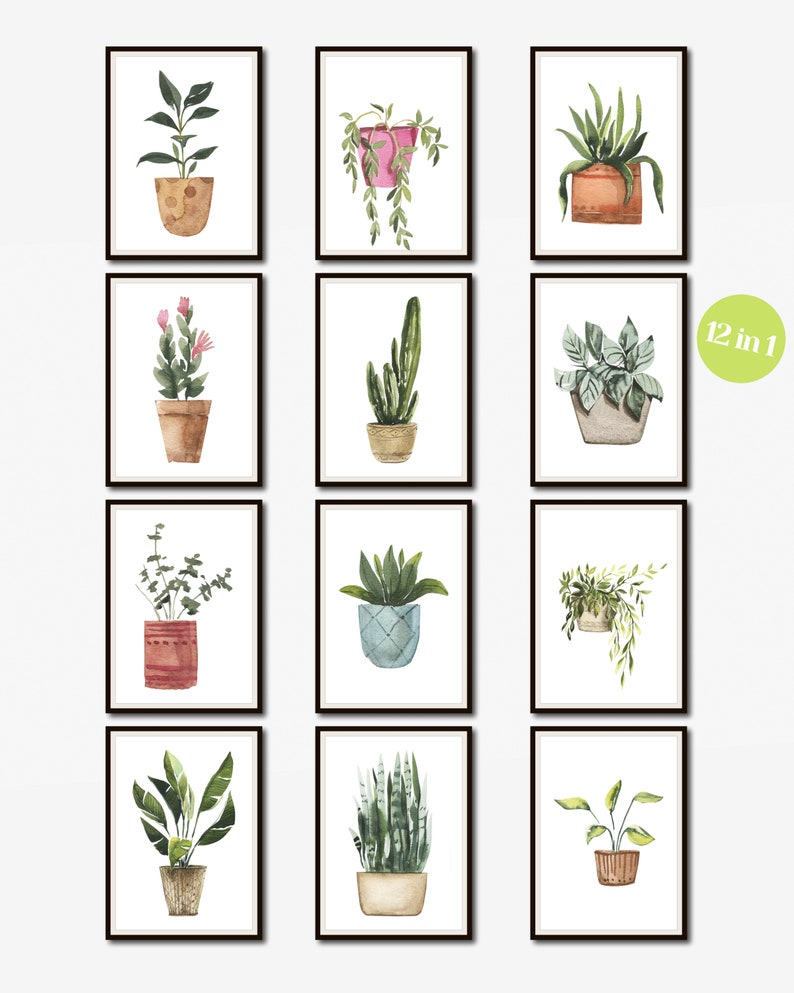 Potted Plants Watercolor Painting Watercolor Plants Print Etsy