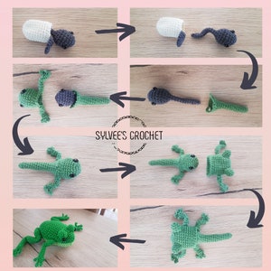 May include: A step-by-step guide showing how to crochet a frog from a tadpole. The image shows the process of crocheting a green frog from a gray tadpole. The image includes the text "Sylvie's Crochet".