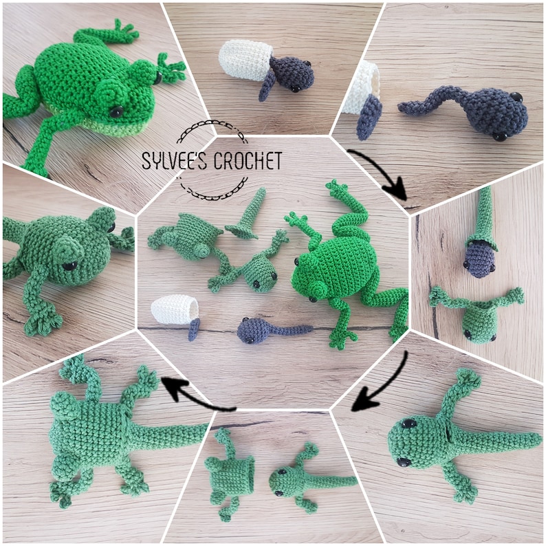 May include: A crochet frog life cycle pattern. The pattern includes a frog egg, tadpole, froglet, and adult frog. The pattern is made with green and gray yarn. The pattern is called "Sylvee's Crochet".