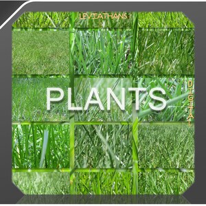 47 Sunny Green Grass Macro Background Stock Photos Collection
