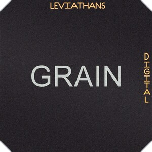 Puede incluir: Un cuadrado negro con una superposición de texto blanco que dice "GRAIN" y una superposición de texto dorado que dice "LEVIATHANS" en la parte superior y "DIGITAL" verticalmente a la derecha.
