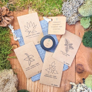 Houseplant Adventurer Houseplant Seed Collection ( Winter Activities, Gift Ideas, Stocking Stuffer )