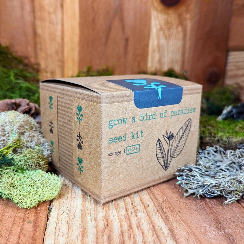 Puede incluir: Una caja de cart&oacute;n marr&oacute;n con el texto "grow a bird of paradise seed kit" impreso en la parte delantera. El texto est&aacute; en azul y verde. La caja est&aacute; sobre una superficie de madera.