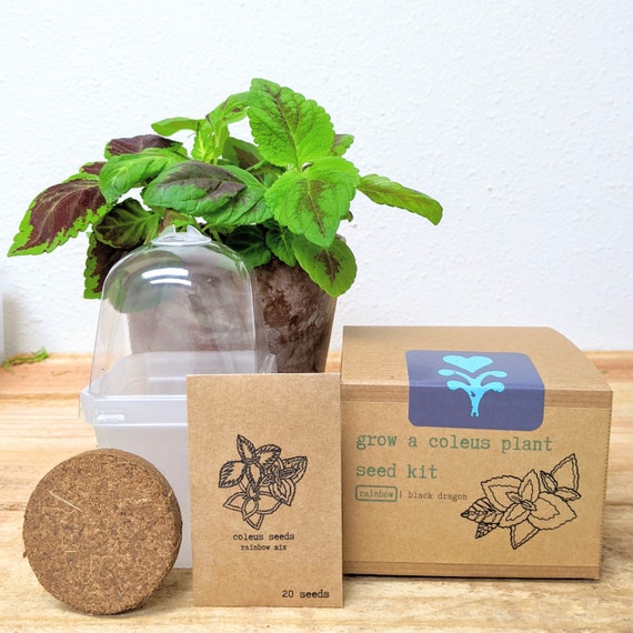 self watering system for potted plants ORIMERC 1/4 inch (6mm) Self watering Wick Cord for Vacation Self-water   Orimerc