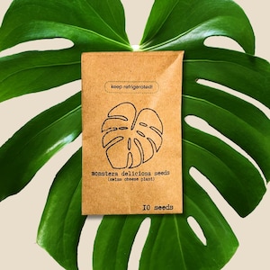 Monstera Deliciosa Seeds(Fresh and Batch-Tested Exotic Tropical Foliage Plant Seeds!) Winter Indoor Garden Activities